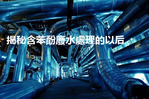揭秘含苯酚廢水處理的以后？